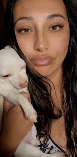 Hi doggie lovers 🫶 I have 3 dogs and couldn't imagine life without them.  The bar I work at is having an event