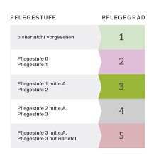 +zuschuss umbau pflegekasse bei paliativ patienten. Pflegekasse Pflegefinanzierung Pflege De