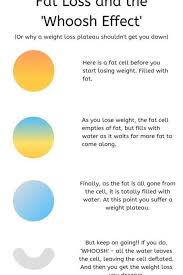 Pin On Diet Plans
