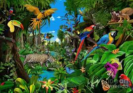 Pin By Moon Belaaa On 34r15 In 2021 Jungle Scene Jungle Art Rainforest Animals