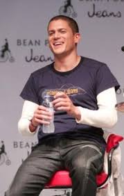 He rose to prominence after appearing as michael scofield in the fox series prison break. Wentworth Miller Prison Break Wiki Fandom