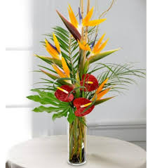 Bird Of Paradise Flower Bouquet Uk Pin On Geles