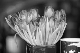 Psychosomatische Beschwerden Hilfe Durch Hypnotherapie Noack Hypnotherapie Berlin