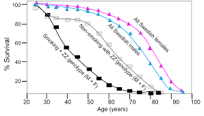 Chronic Obstructive Pulmonary Disease Copd