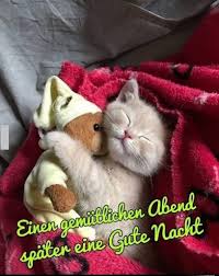 Gefühl gif liebesbotschaften / liebesbilder fur whatsapp liebesspruche bilder kostenlos hier in diesem abschnitt sind sie genau richtig, wenn sie romantische … Download Guten Morgen Und Gute Nacht Schatz 2021 Free For Android Guten Morgen Und Gute Nacht Schatz 2021 Apk Download Steprimo Com