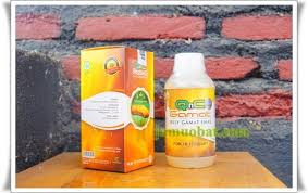 Sakit Kepala Terasa Kliyengan Atau Pusing Berputar Hingga Terasa Akan Jatuh Disertai Rasa Mual Dan Ingin Muntah Serta Berkeringan Dingi Vertigo Herbal Penyakit