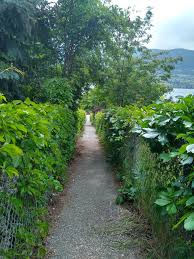Check spelling or type a new query. Linear Perspective Amo Vitam