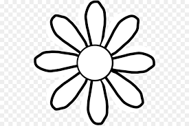 Daisy Black And White Drawing Clip Art White Flower Clip Black And White Drawing White Flower Png