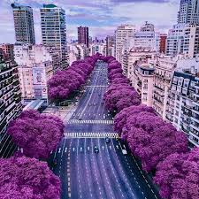 Argentina city stock photos (total results: 460 Argentina Ideas Beautiful Places Argentina Places To Go
