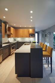 Simply Mod Contemporary Kitchen Seattle By Lucy Johnson Interior Design Modern Kitchen Cabinets Kitchen Cabinet Styles Classy Kitchen