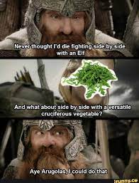 Never Thought I D Die Fighting Side By Side With An Elf At And What About Side By Side With A Versatile Cruciferous Vegetable Aye Arugolas I Could Do That