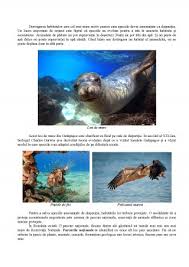 Portal generalist care include un director de tip web, o revistă a presei. Referat Animale Pe Cale De Disparitie Biologie 378642