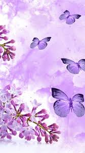 Search free purple cute wallpapers on zedge and personalize your phone to suit you. Cute Wallpapers Violet Purple Lilac Butterfly Lavender 2719 Wallpaperuse