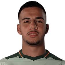 Palmeiras vs. Bolívar