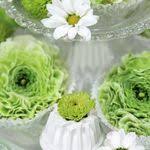 Dekorieren Im Herbst Alpenveilchen Alpenveilchen Herbstliche Tischdekorationen Herbstliche Tischdeko