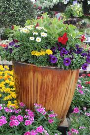Designed For You At The Barn Nursery Chattanooga Tn 032214 Garten Blumen