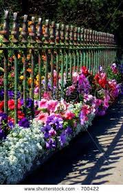 Pin By Jena Cabaniss On Pool And Outdoor Ideas Iron Fence Wrought Iron Fences Fence Landscaping