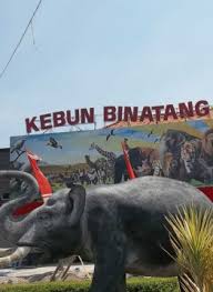 Di dalamnya banyak binatang binatang lucu, ada. Kebun Binatang Surabaya Surabaya 1001malam Com