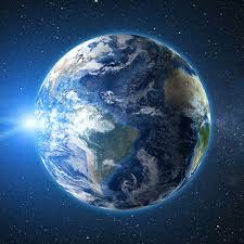 A life on our planet is my witness statement, and my vision for the future. A Life On Our Planet Is Sir David Attenborough S Legacy To The World The National Digest