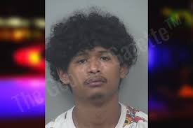 Gwinnett County Crime