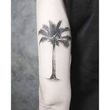 Hand poke palm tree tattoo on the achilles heel. Palm Tree Tattoo Best Tattoo Ideas Gallery Tatuajes De Palmeras Tatuajes De Palma Tatuaje De Arbol En El Brazo