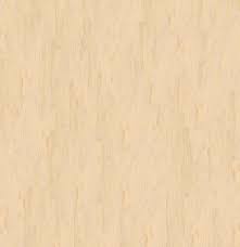 Birch Wood Texture Birch Wood Wood Texture Wood