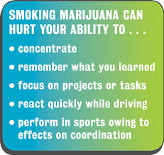 Image result for marijuana effects