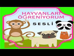 Cocuk Videolari Hayvanlari Ogreniyoruz Egitici Oyuncaklar Ciflik Hayvan Hayvanlar Oyuncak
