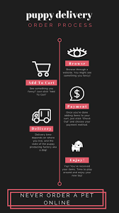 Use the form to the right to find a puppy near you. Buy A Puppy Online Oliver Pet Care