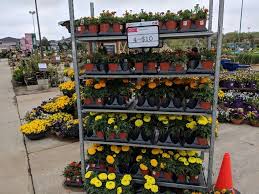 Gas station contact us co. Stein S Garden Home 6626 Washington Ave Racine Wi 53406 Usa