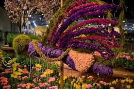 The Best Places To See Spring Flowers Flower Show Philadelphia Flower Show Flowers
