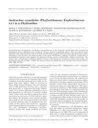 Image result for Andrachne ovalis