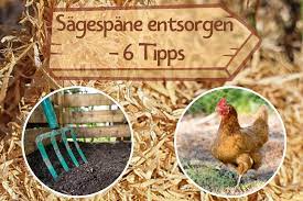 It all goes into the drying. Sagespane Entsorgen 6 Verwendungen Im Garten