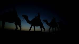 Learn vocabulary, terms and more with flashcards, games and other study tools. Morocco Caravan Of Camels Crossing The Stock Footage Video 100 Royalty Free 24354812 Shutterstock