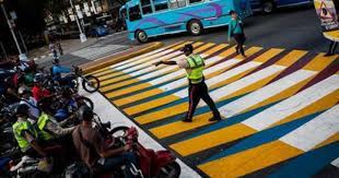 Pin On Cebras Urbanas