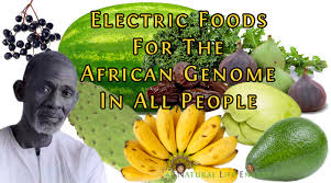 Electric food full album (1970). Electric Foods And Feeding The African Genome Alkaline Plant Based Diet