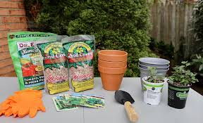 The home herbal garden's scheme main objective is to set up biodiversity parks in all 13 districts across the state. Planting Materials Arranged On A Table Herb Garden Gardening For Kids Patio Flower Pots