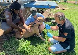 Disaster Response: Hurricane Beryl devastates in the Caribbean // WVS