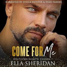 Sexy Liar: Dirty Hacker, Book 1 (Audio Download): Stacey Kennedy, Kelsey  Navarro, Stacey Kennedy: Amazon.co.uk: Audible Books & Originals