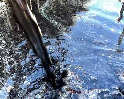 Wastewater & Oily Water