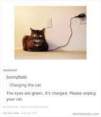 Pin On Funny