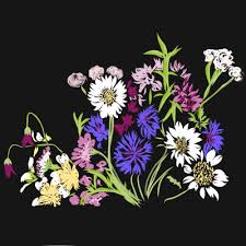 Bloemen Zwarte Achtergrond Bestellen Joketegrotenhuisfoto S Nl Kunstbloemen Zwarte Achtergronden Bloemen
