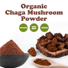 Amazon.com: Food to Live Organic Chaga Mushroom Powder, 12 Ounces