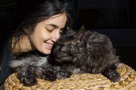 BirchBark Foundation, Inc.