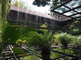 Positioning itself as a green boutique hotel steeped in modern minimalist style, rumah turi attracts and. Rumah Turi Penginapan Eco Friendly Di Tengah Kota Solo Catatan Nobi