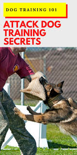 Dog Training 101 Attack Dog Training Secrets In 2020 Attack Dog Training Dog Training Guard Dog Training