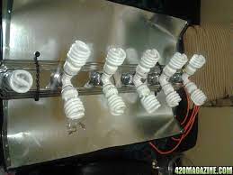 Some growers will include both a vegetative and flowering section, or they might dedicate the whole box to one grow. Diy Custom Cfl Growlight 420 Magazine