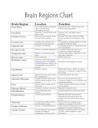 Brain Functions Chart Brain Parts Brain Parts Ap