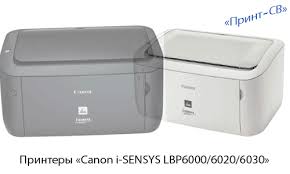 Canon lbp 6000b не печатает. Printery Canon I Sensys Lbp6000 6020 6030