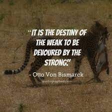 Pin On Power Leadership And Combat Quotes